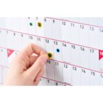 Sasco Academic Year Planner Mounted - Image 3