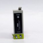 Alpa Cartridge Comp Epson T1001 Black Ink Cartridge