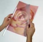 Durable Polypropylene Report Covers A4 - Image 3