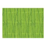 Bordette Fadeless Designs Poster Paper Rolls 1218 mm X - Image 3