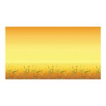 Bordette Fadeless Designs Poster Paper Rolls 1218 mm X - Image 5