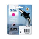 Epson T7603 Vivid Magenta Ink Cartridge C13t76034010 T7603