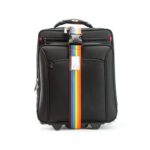 Status Luggage Strap Without Lock Multicolour Blister Cdu - Image 3